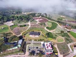 명품 휴식과 착한 가격 정읍시, 2026 구절초 꽃축제 준비 ‘착착’ 기사 이미지